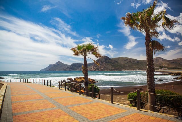 Тестовая комплексная услуга